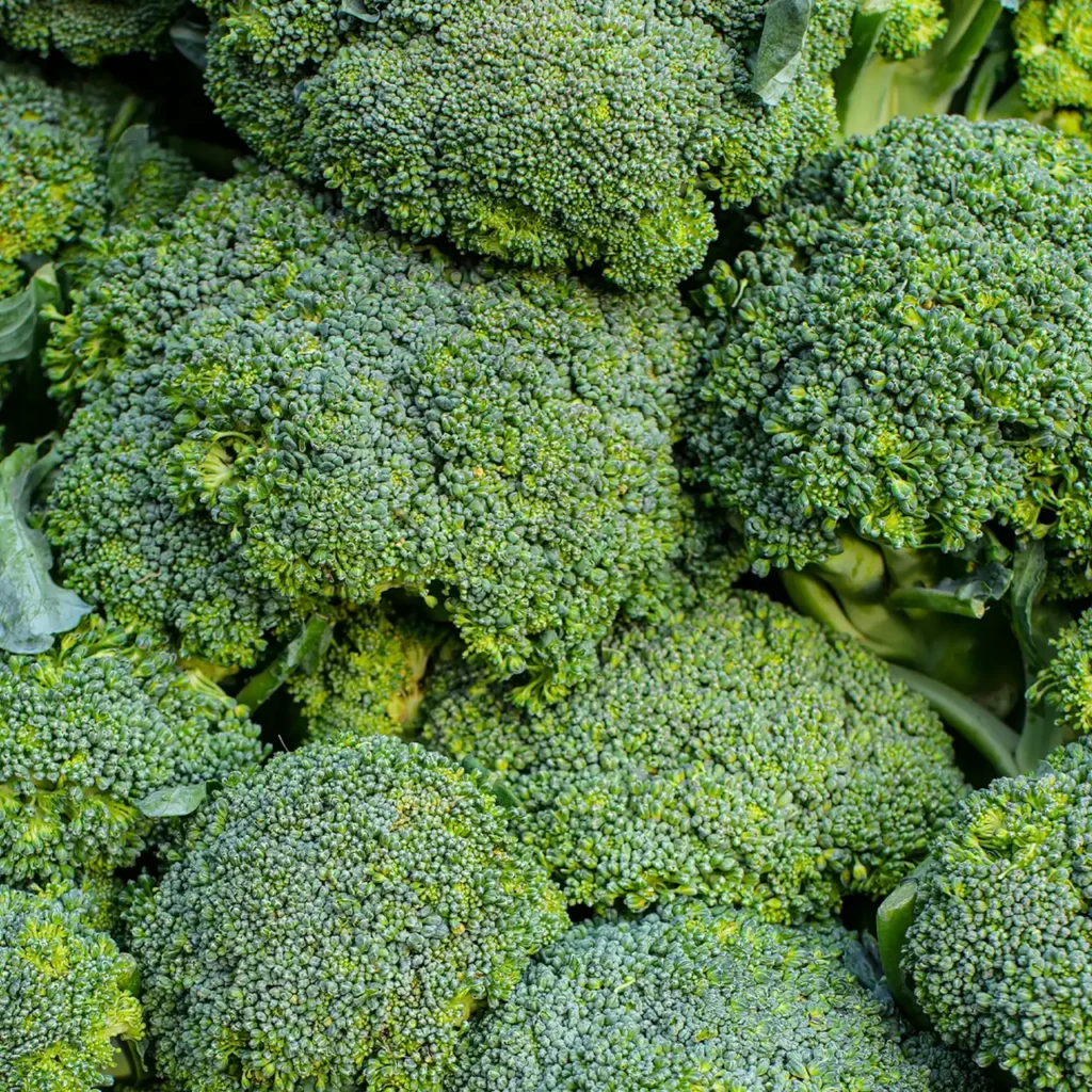 brocoli
