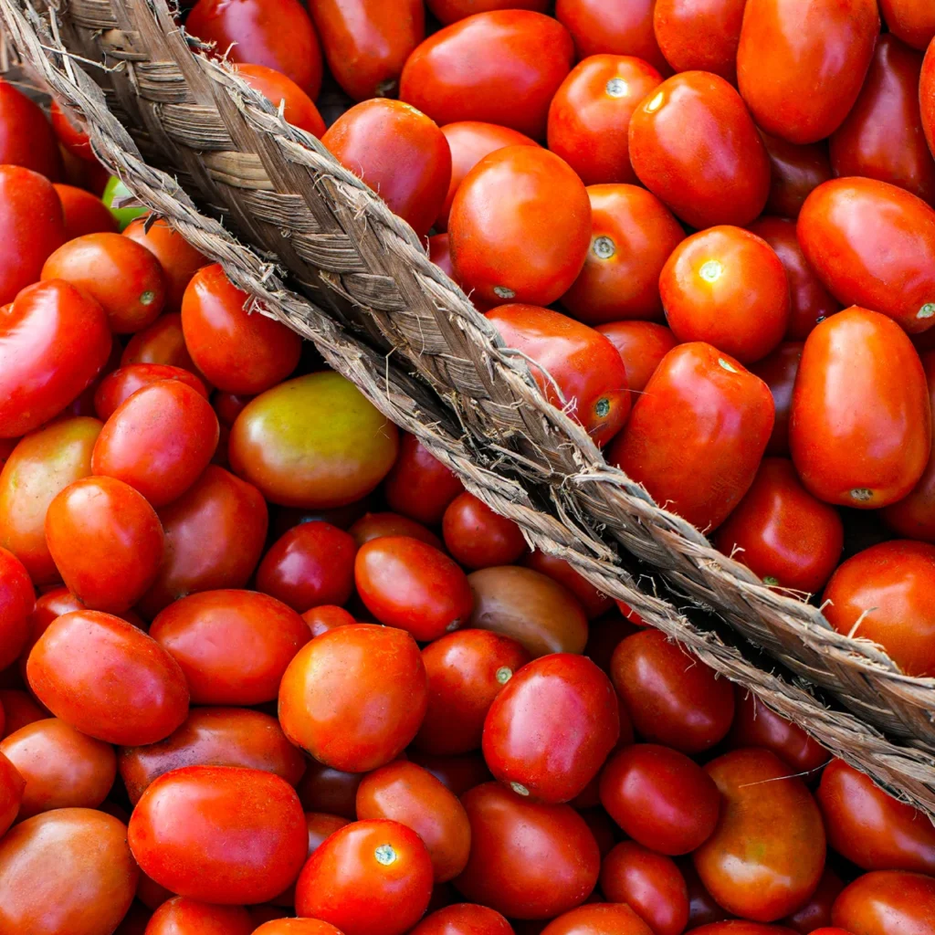 tomato